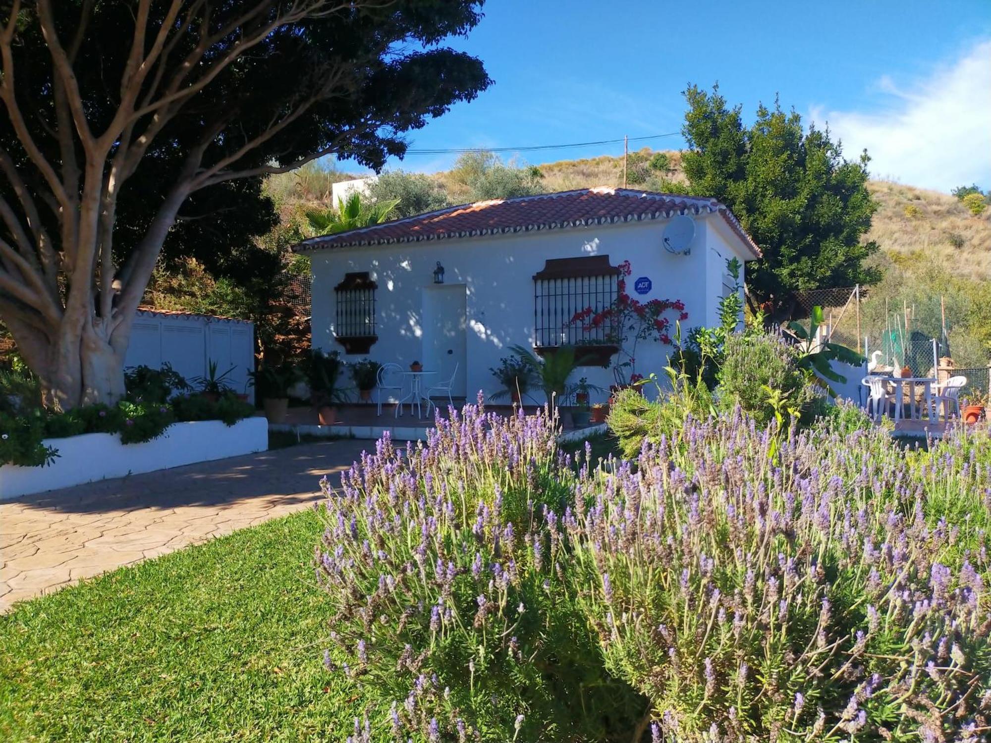 Paraje El Pozo Málaga Eksteriør billede